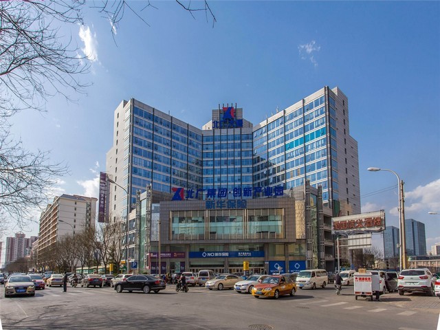 嘉兴药用灰树花菌种